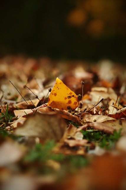 被譽為當代 被譽為當代