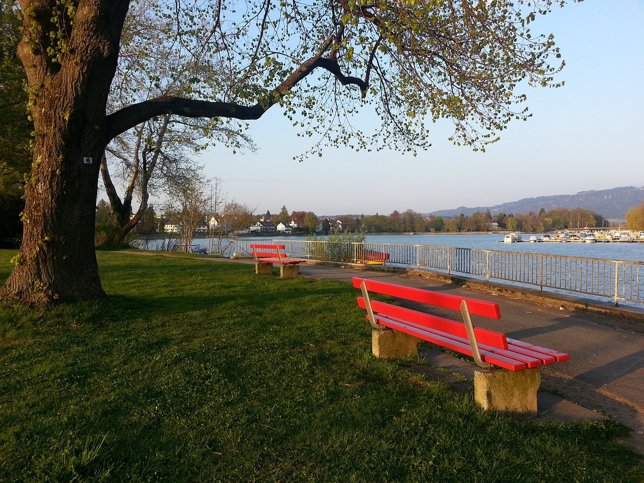 总能掌握主 总能掌握主