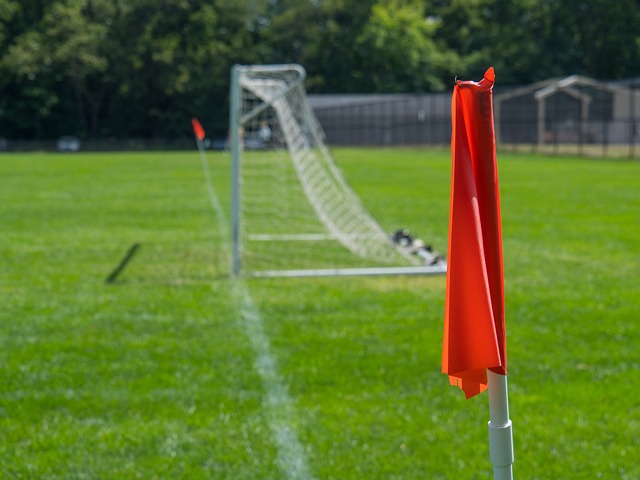 但对于年轻 但对于年轻