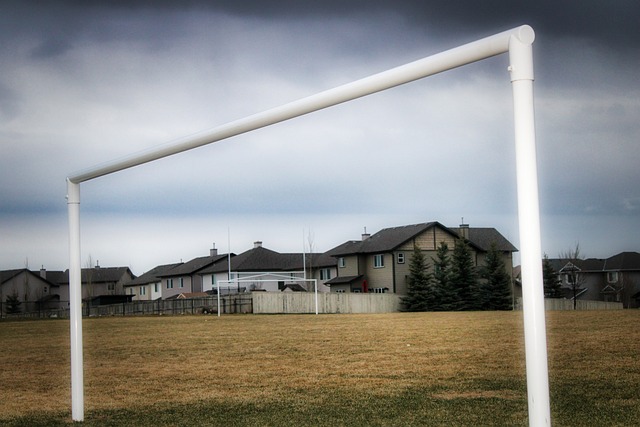 创造性的球 创造性的球