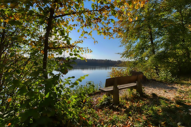 多种因素影 多种因素影