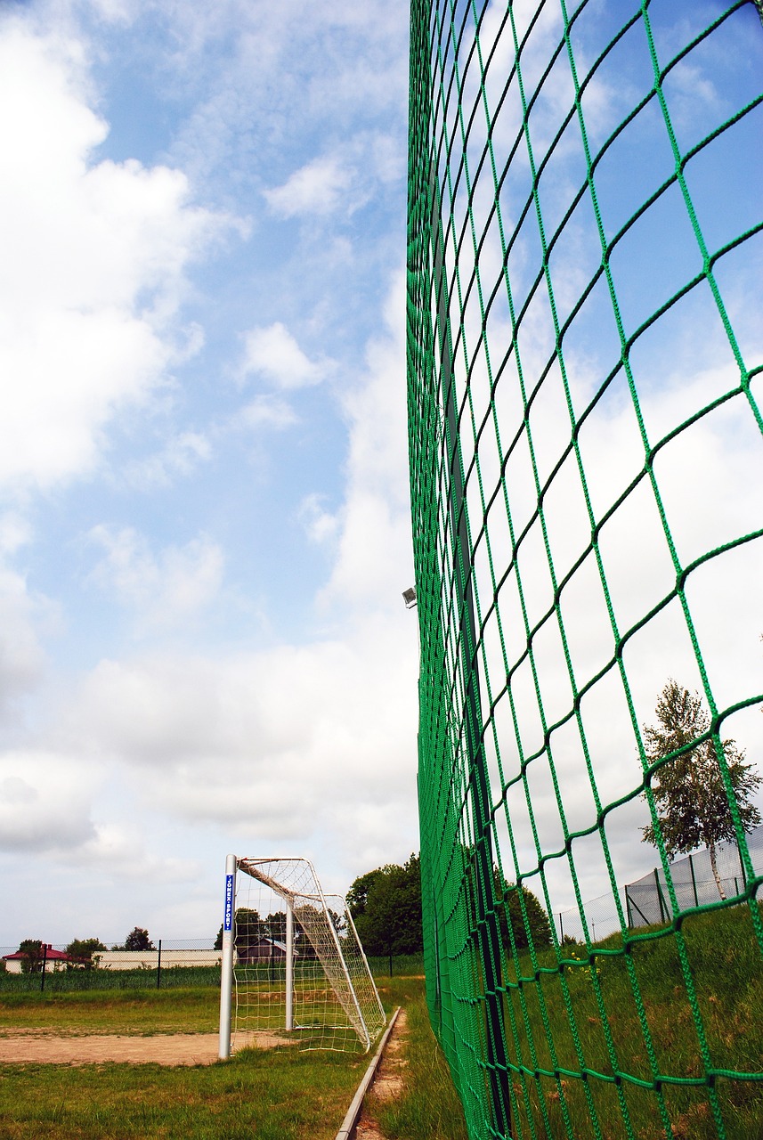 到球队的短 到球队的短