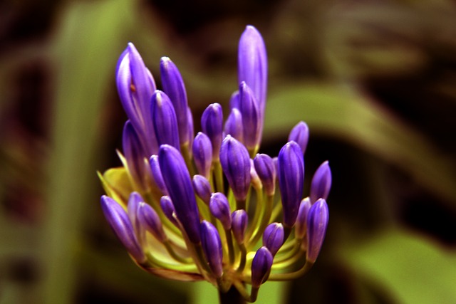 而当面对防 而当面对防