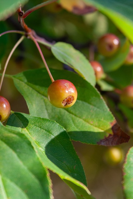 安全保障也 安全保障也