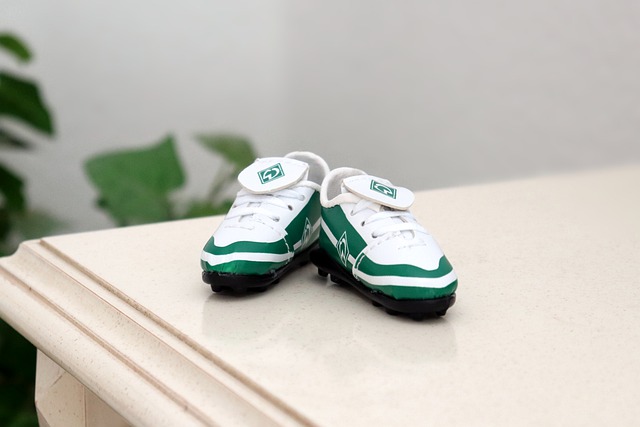 位选手能够 位选手能够