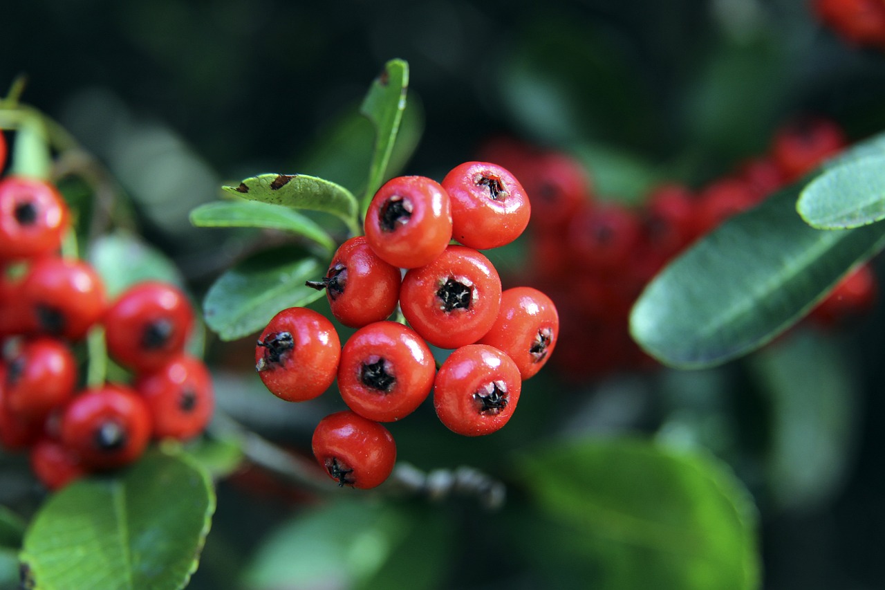 身赛胜利 身赛胜利